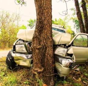 A vehicle crashed into a tree