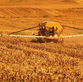 Spreading toxic agricultural chemical on wheat farm